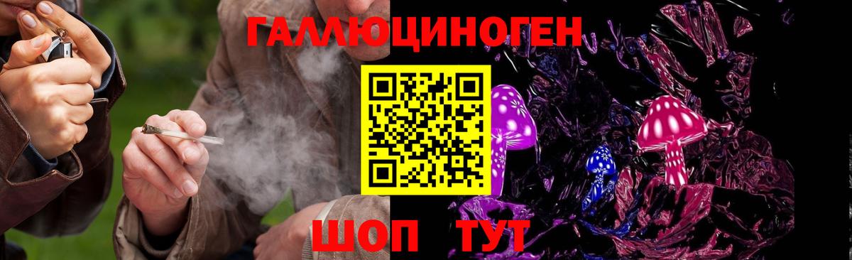 Сургут  Галлюциногенные грибы Magic Shrooms  Псилоцибиновые грибы Psilocybine cubensis  Вход с VPN 